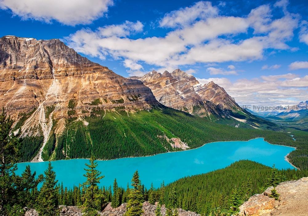 Kop Peyto Lake Kanada 500 Bitar Bestall Idag