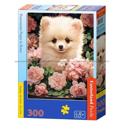 Pomeranian bland rosor, 300 bitar