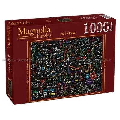 Matematikens universum, 1000 bitar